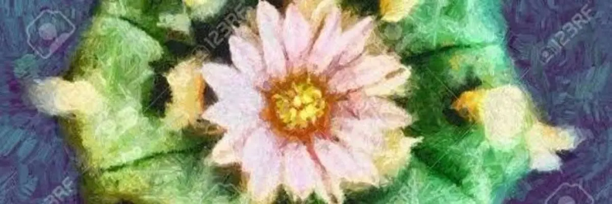 Atractiva pulse photo by b_swingerSLP en Pulsexy.com